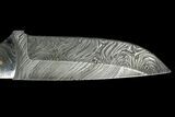 Damascus Knife With Fossil Dinosaur Bone (Gembone) Inlays #125250-5